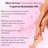 Cyperus Rotundus Facial Hair Oil